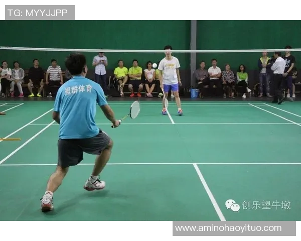 上海羽毛球队精英赛之路：从艰辛起步到辉煌成就的奋斗故事