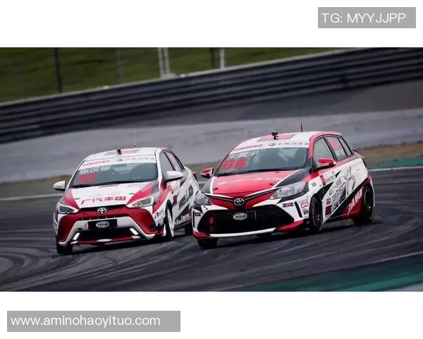 上海排球队的战术解析与深度控制策略探讨